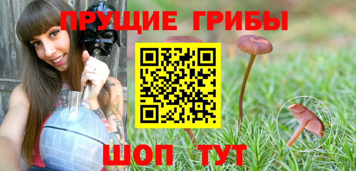 Симферополь  Галлюциногенные грибы Cubensis  где продают   Вход с VPN 